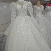 ساتن عربی. شب نما|لباس|انگوران, |دیوار