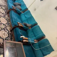 مبل ۹ نفره|مبلمان خانگی و میز عسلی|ری, منصوریه منگل|دیوار