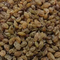 کشمش درجه یک|خوردنی و آشامیدنی|شیراز, دروازه اصفهان|دیوار