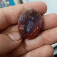 شجر دریای گل عناری