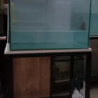 اکواریم ماهی ریملس