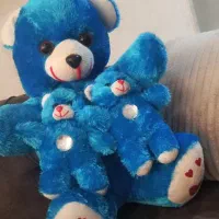 عروسک پولیشی