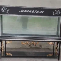 آکواریوم طرح هخامنشی با شیشه ده میل و میز ....|ماهی|دابودشت, |دیوار