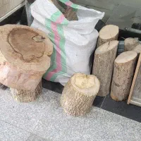 تنه چوب کنده درخت گردو