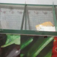 کلیه وسایل میوه فروشی|فروشگاه و مغازه|ملایر, |دیوار