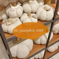 فروش ویژه محصولات پاییزی|صنایع دستی و سایر لوازم تزئینی|شاهینشهر, خانه کارگر|دیوار