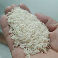 برنج طارم صدری|خوردنی و آشامیدنی|رشت, جهاد|دیوار