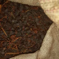 مویز