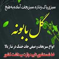 حسابدار خانوم