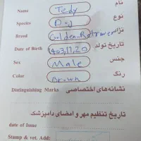 سگ خانگی|سگ|ماکو, |دیوار