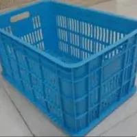 سبد