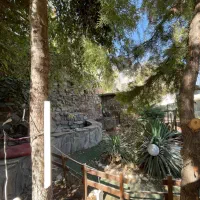 اجاره سفره خانه سنتی جاده کورانه|اجارهٔ مغازه و غرفه|قزوین, |دیوار