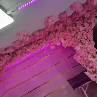 درختچه گل|گل مصنوعی|تهران, هفده شهریور|دیوار