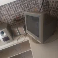 مانیتورالجی