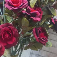 گل مصنوعی گلدان|گل مصنوعی|ورامین, ورامین|دیوار