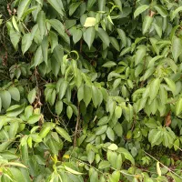 کارگر مورد نیاز است