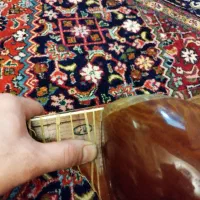 تار ایرانی استاد حسین نژاد (طایر)|سازهای سنتی|تبریز, |دیوار