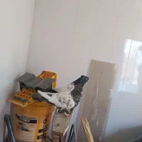 نرماده سرتا