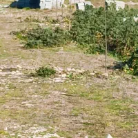 فروش زمین جاده دریا منطقه آزاد مازندران ،ساری