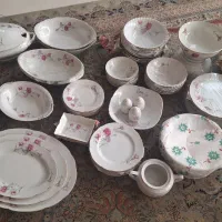 سرویس گل میخک ژاپنی نو همه باهم فروخته میشن