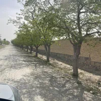 فروش زمین ازدورمیدان اول سنگ سفید گلبهار بدون کسری|فروش زمین و ملک کلنگی|مشهد, الهیه|دیوار