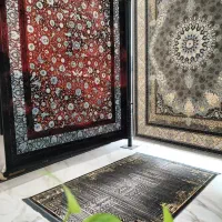 فرش اکسپوز