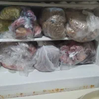 یخچال فریزر الکترو لوکس در حال استفاده|یخچال و فریزر|رشت, سعدی (تختی)|دیوار