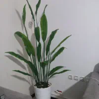 گل مصنوعی