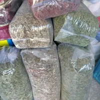 تخمه افتابگردان|خوردنی و آشامیدنی|قروه, |دیوار