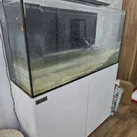 آکواریوم برند ایران آکواریوم|ماهی|تهران, باغ فیض|دیوار