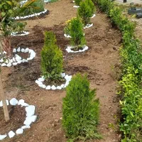 خدمات باغبانی و فنس کشی|خدمات باغبانی و درختکاری|همدان, |دیوار