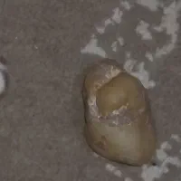 سنگ های قیمتی