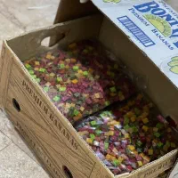 فروش‌عمده‌و‌جزئی حبه میوه/ارگانیک/قیمت‌مناسب/تازه|خوردنی و آشامیدنی|تهران, گلستان (شهرک راه آهن)|دیوار