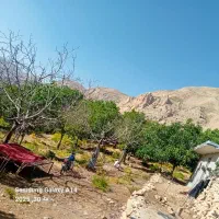 باغ-گردو-آلو-در-منگار-امام-زاده-عبدالله-منگشت