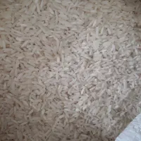 برنج طارم عطری  ارگانیک از تولید  به مصرف بی واسط