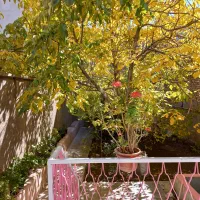 منزل حیاطدار روزانه هفتگی ماهانه خوانسار