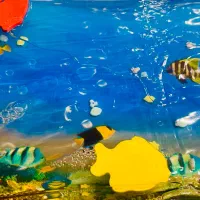 اسباب بازی گربه و سگ|لوازم جانبی حیوانات|کرج, عظیمیه|دیوار