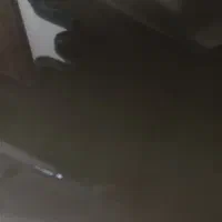 گمشده