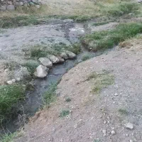 باغ۷۰۰متری|فروش زمین و ملک کلنگی|شبستر, |دیوار