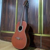 فروش فوری گیتار p40 + کیف|گیتار، بیس، امپلیفایر|رستم‌آباد, |دیوار