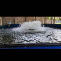 فروش-استخر-ماهی-بازمین-دو-هزار-پانصد-متری