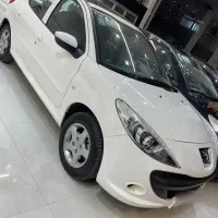 ۲۰۷ پانا در حد صفر