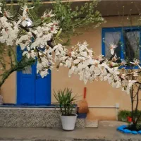 کار نیمه وقت یا سرایداری