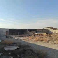 دامداری مناسب گوسفند شتر مرغ گاو گوساله بلوک زنی