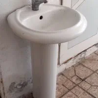 یک عدد صورت شوری.