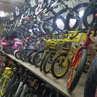 دوچرخه12.16 پلنگ صورتی