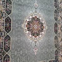 یک عدد قالی ۱۲ متری نو