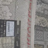 قالی 12متری گل برجسته دست باف گونه تراکم 3000|فرش|مشهد, رضاشهر|دیوار