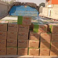 روغن معمولی قنادی صاف 50