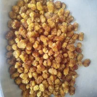 انواع کشته